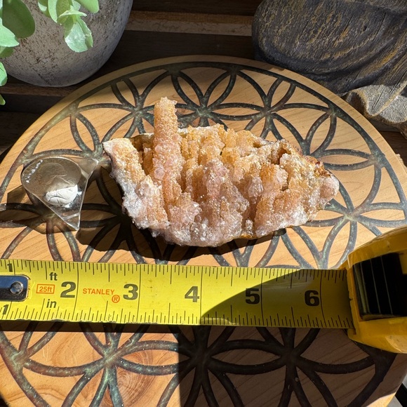 Natural cactus quartz Cluster